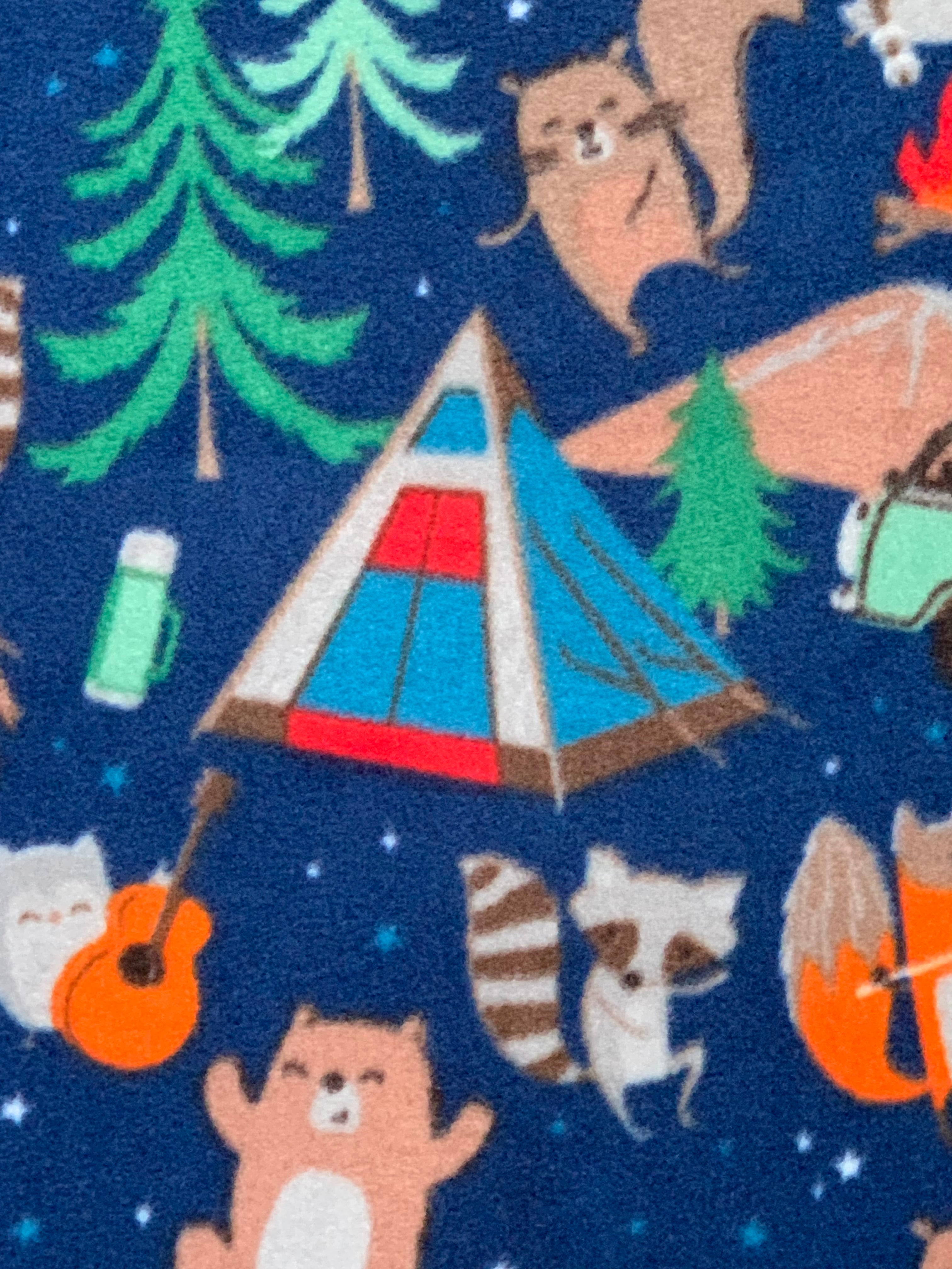 Winter Fleece - Camping with Racoons