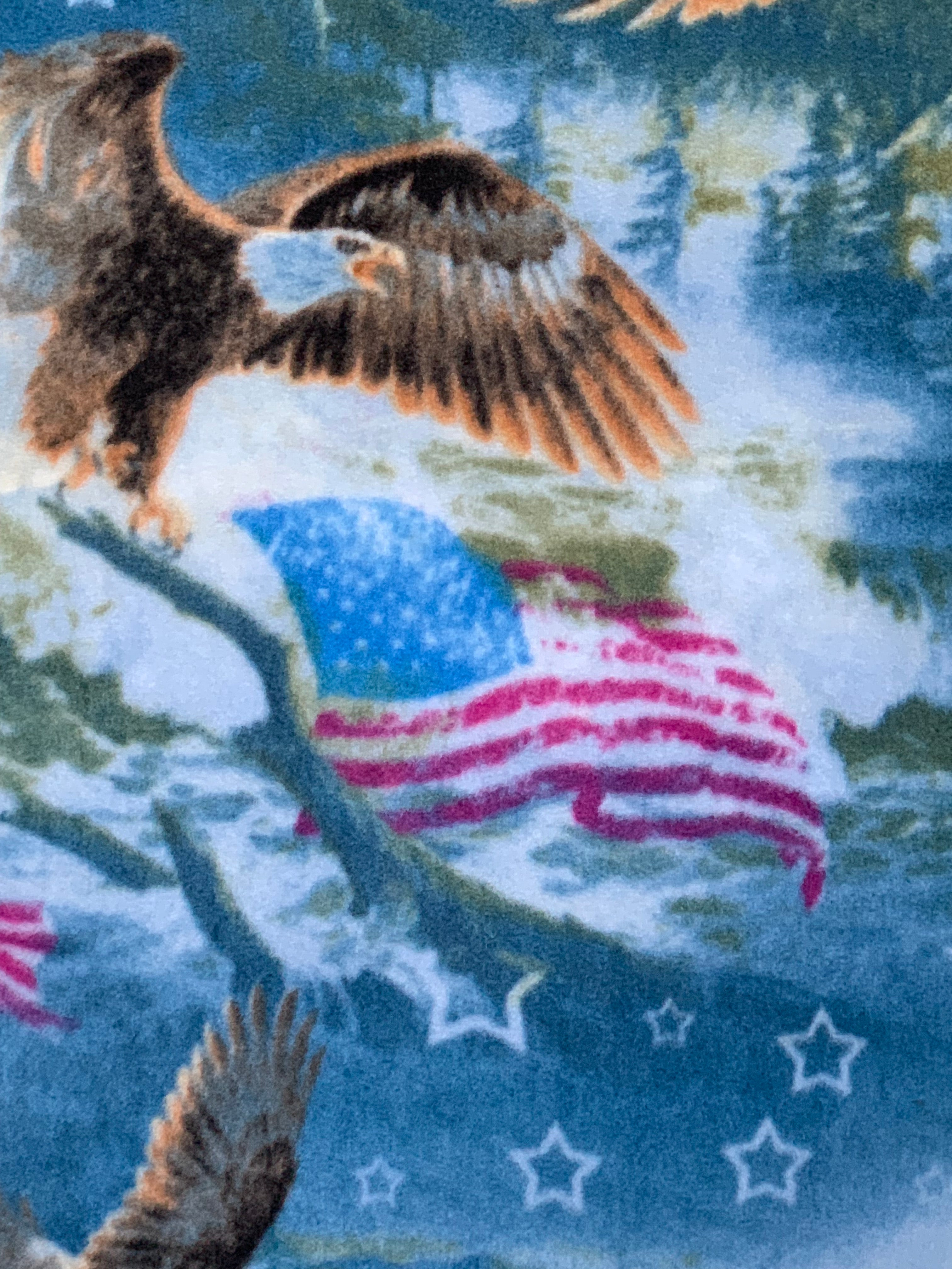 American Eagle and Flag Lux Fleece