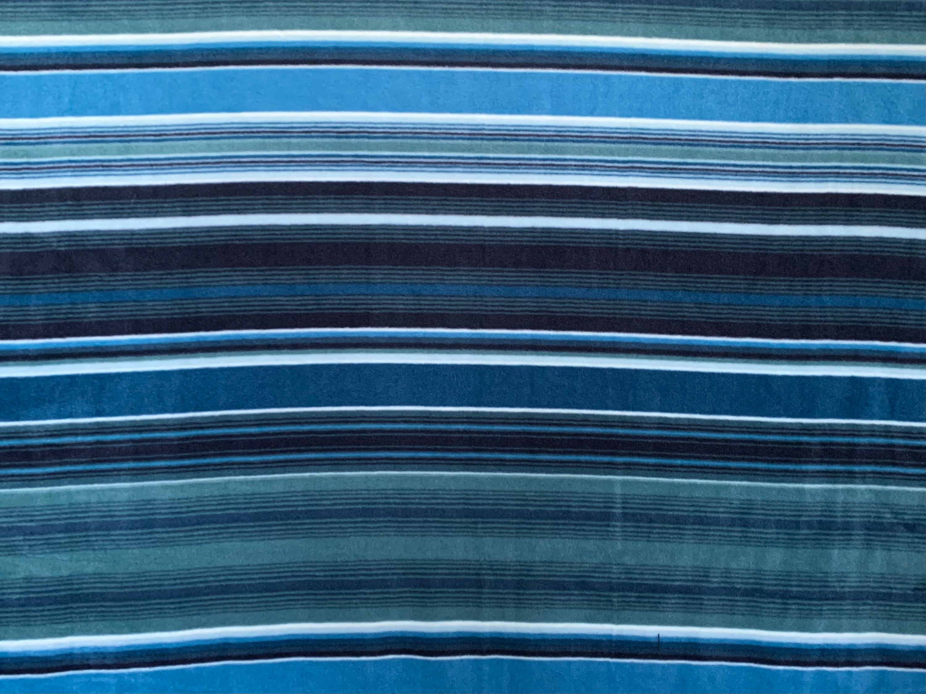 Tribal Winter Fleece - Vista Indigo 49445-2