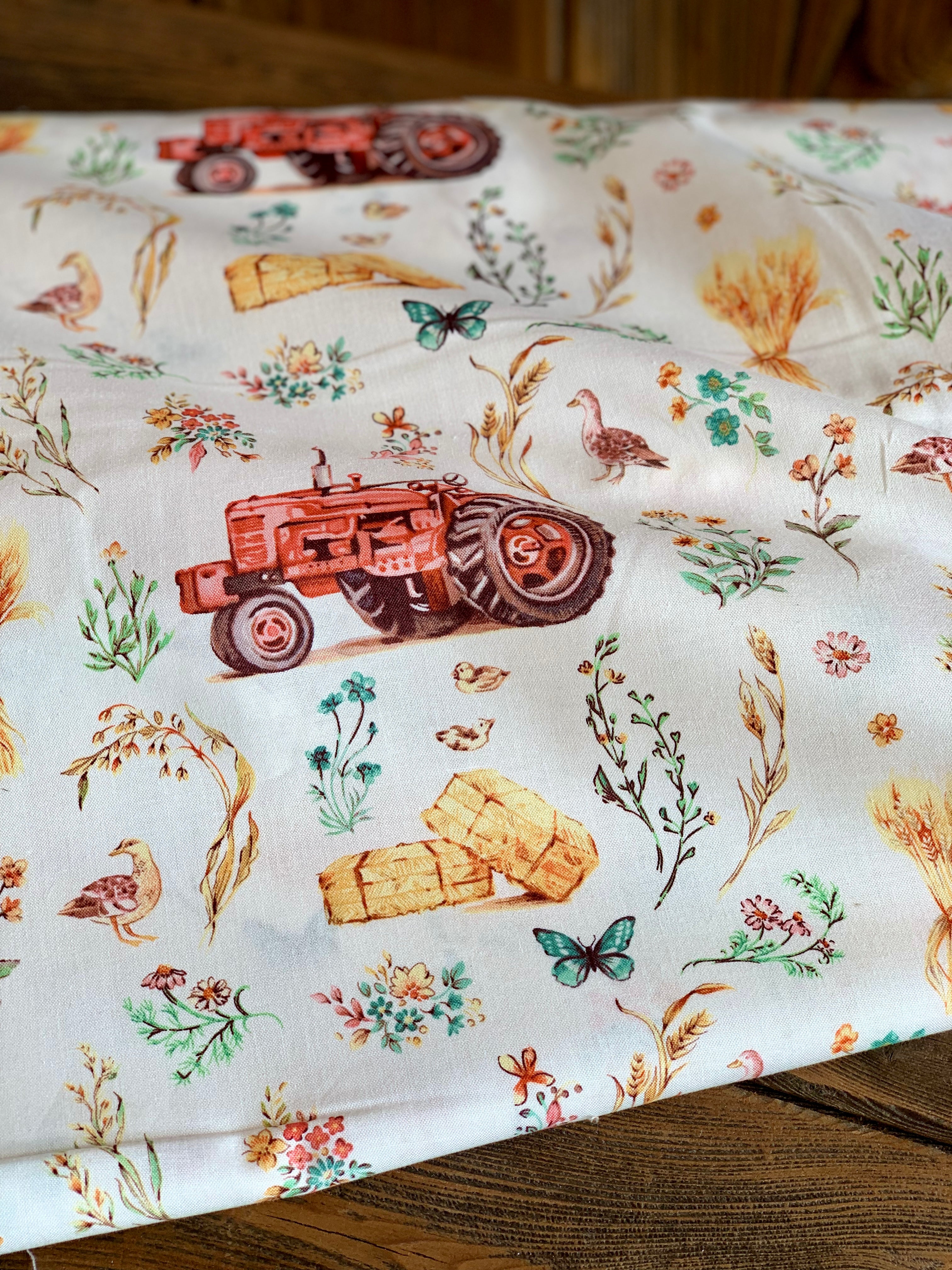 Farm Meadow Collection by Clare Therese Gray Windham Fabrics - 14 Patterns/Colors