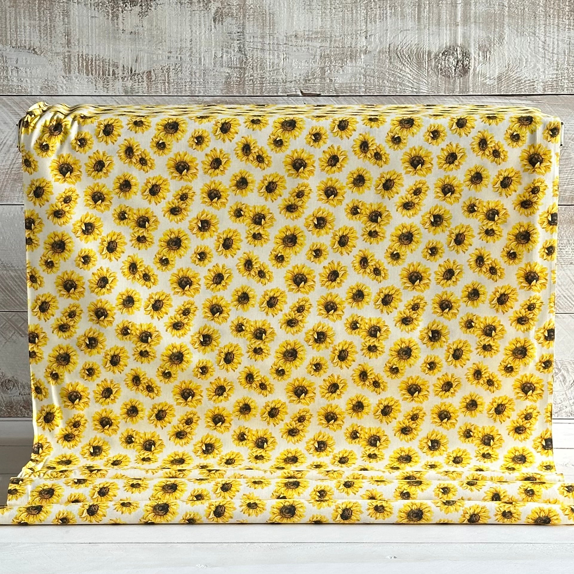 Natural Cream - Sunflower Collection