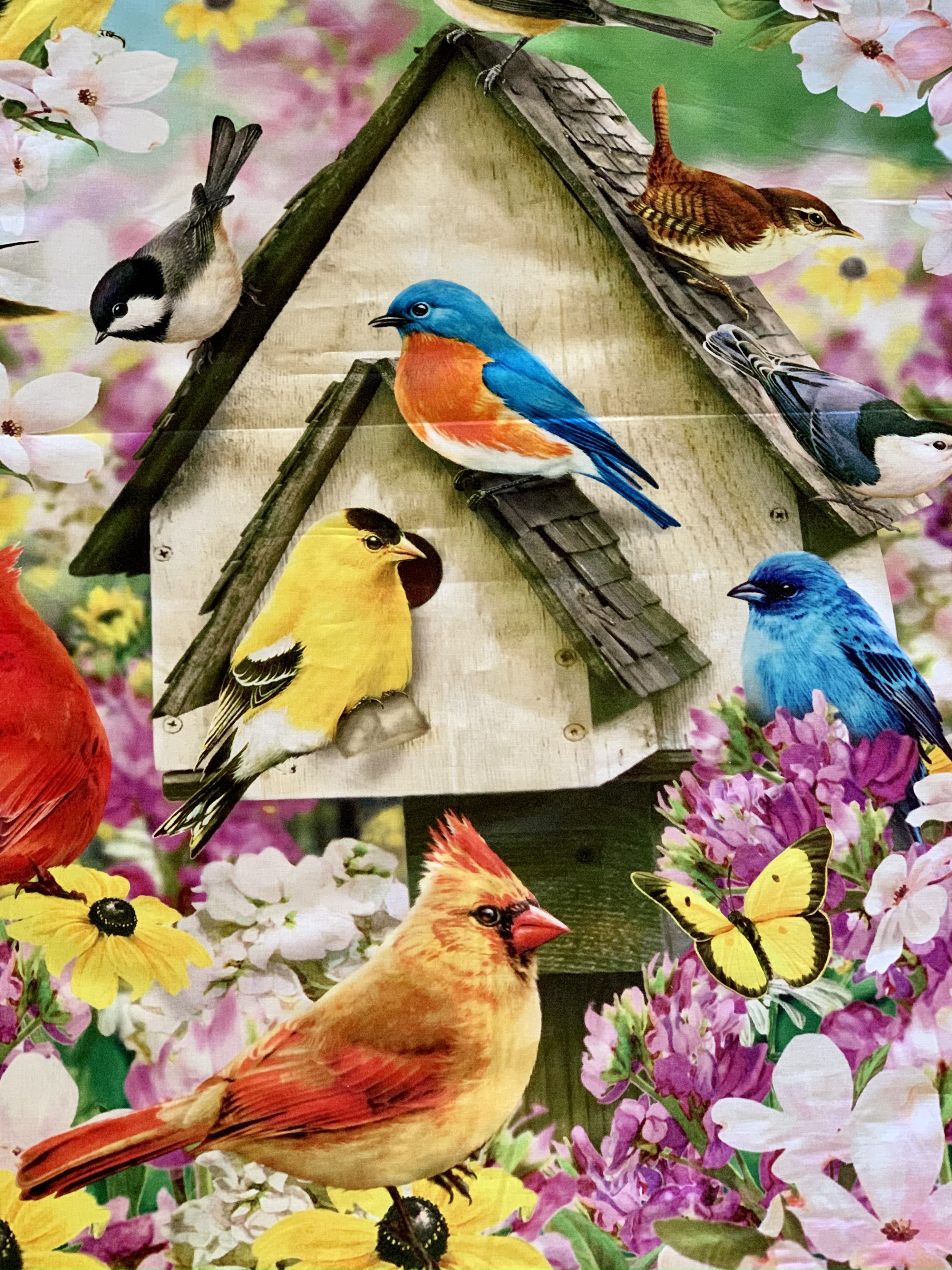 David Textiles Birds for all Seasons - Birds in the Orchard Panel and Fabric by the Yard - Fall Fabric