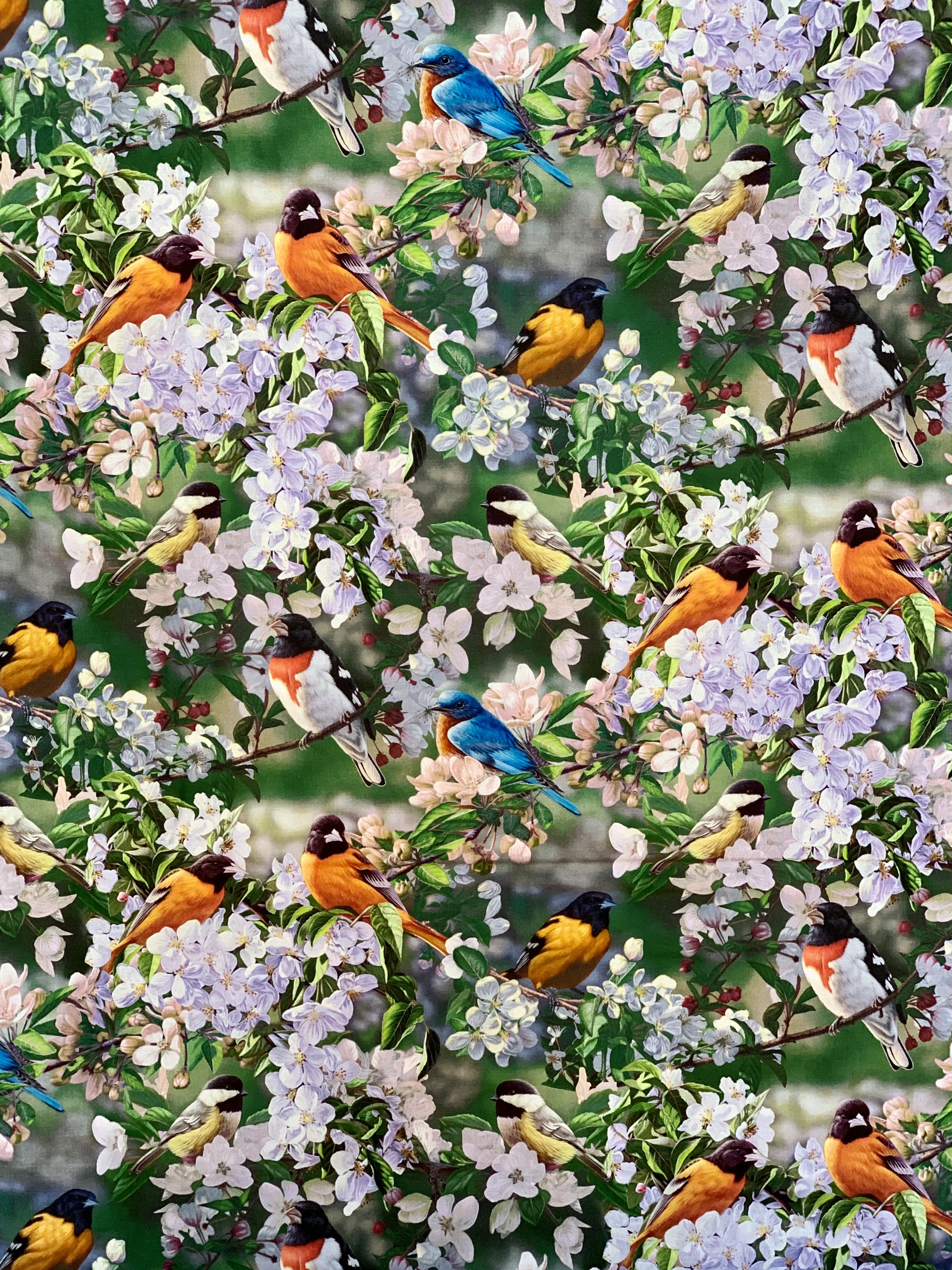 David Textiles Birds for all Seasons - Birds in the Orchard Panel and Fabric by the Yard - Fall Fabric