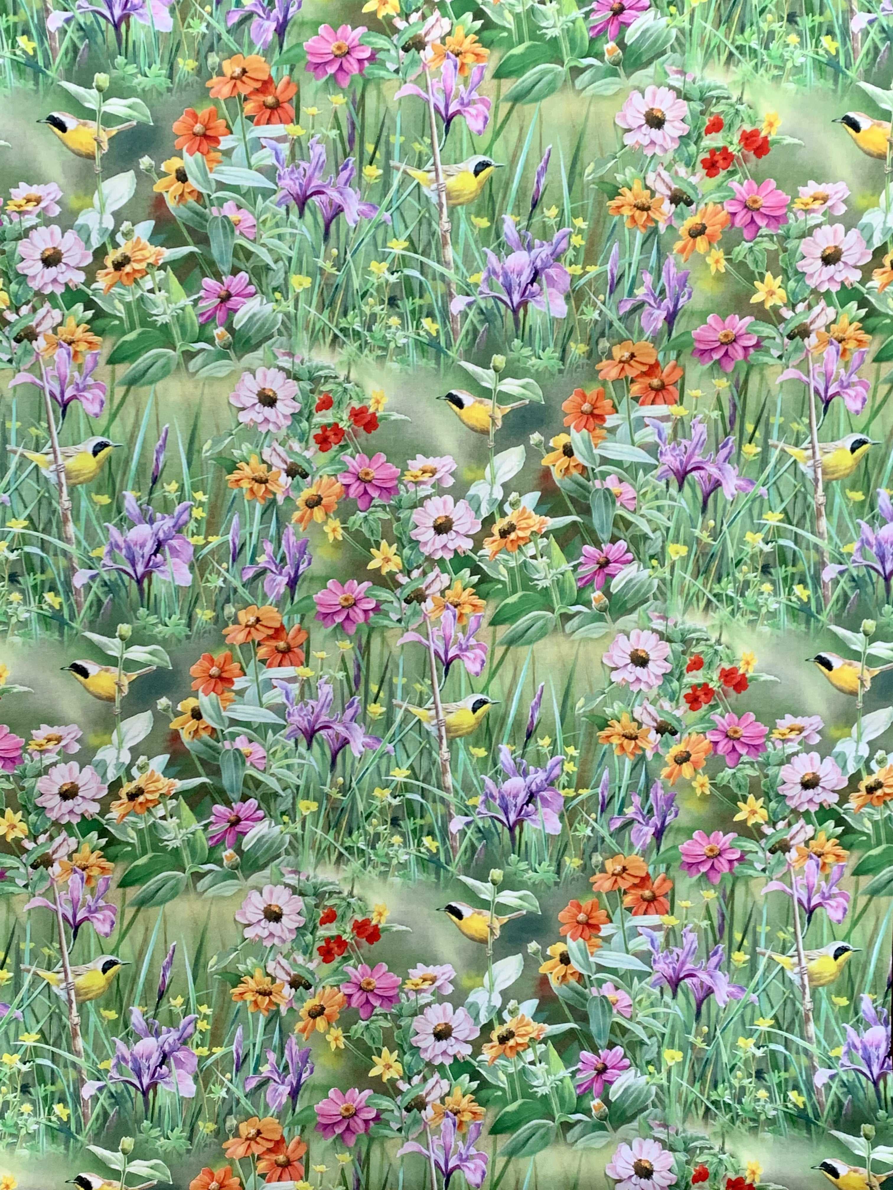 David Textiles Birds for all Seasons - Yellowthroat in the Garden Panel and Fabric by the Yard - Fall Fabric