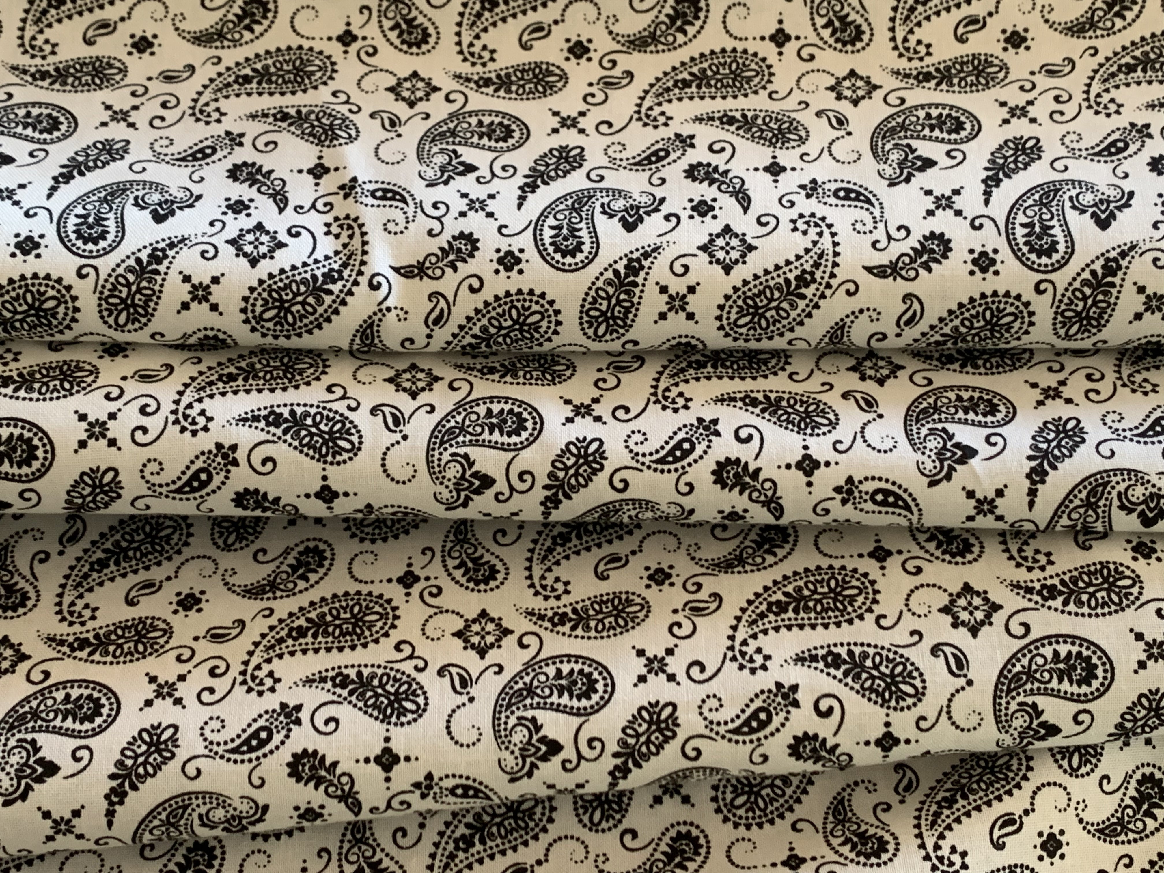 Bandana Paisley Collection