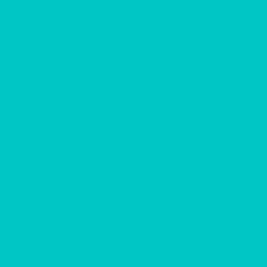 Solid Turquoise Fleece - 6800