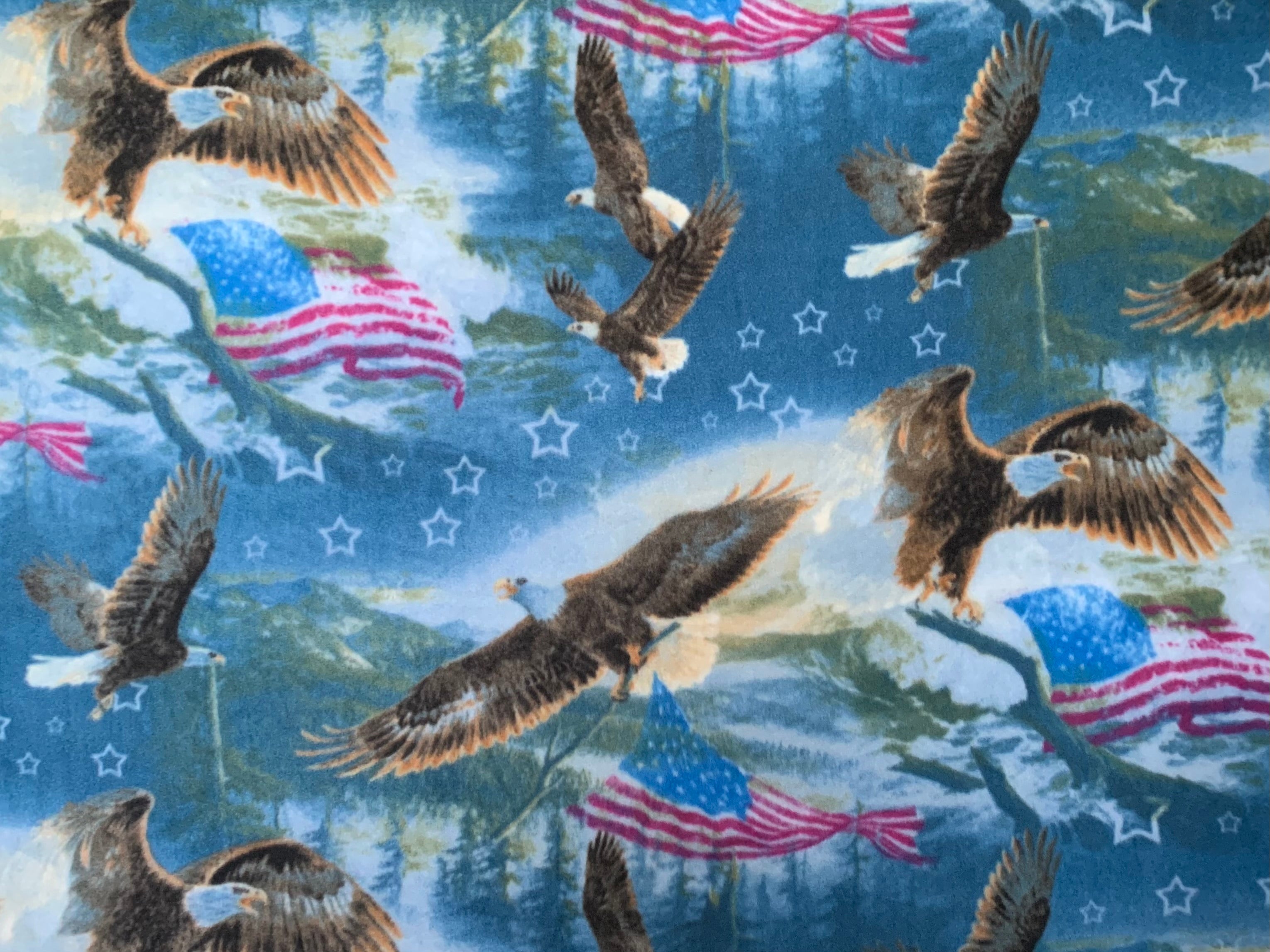 No Sew Blanket Kit - American Flag and Bald Eagle - Personalization Available