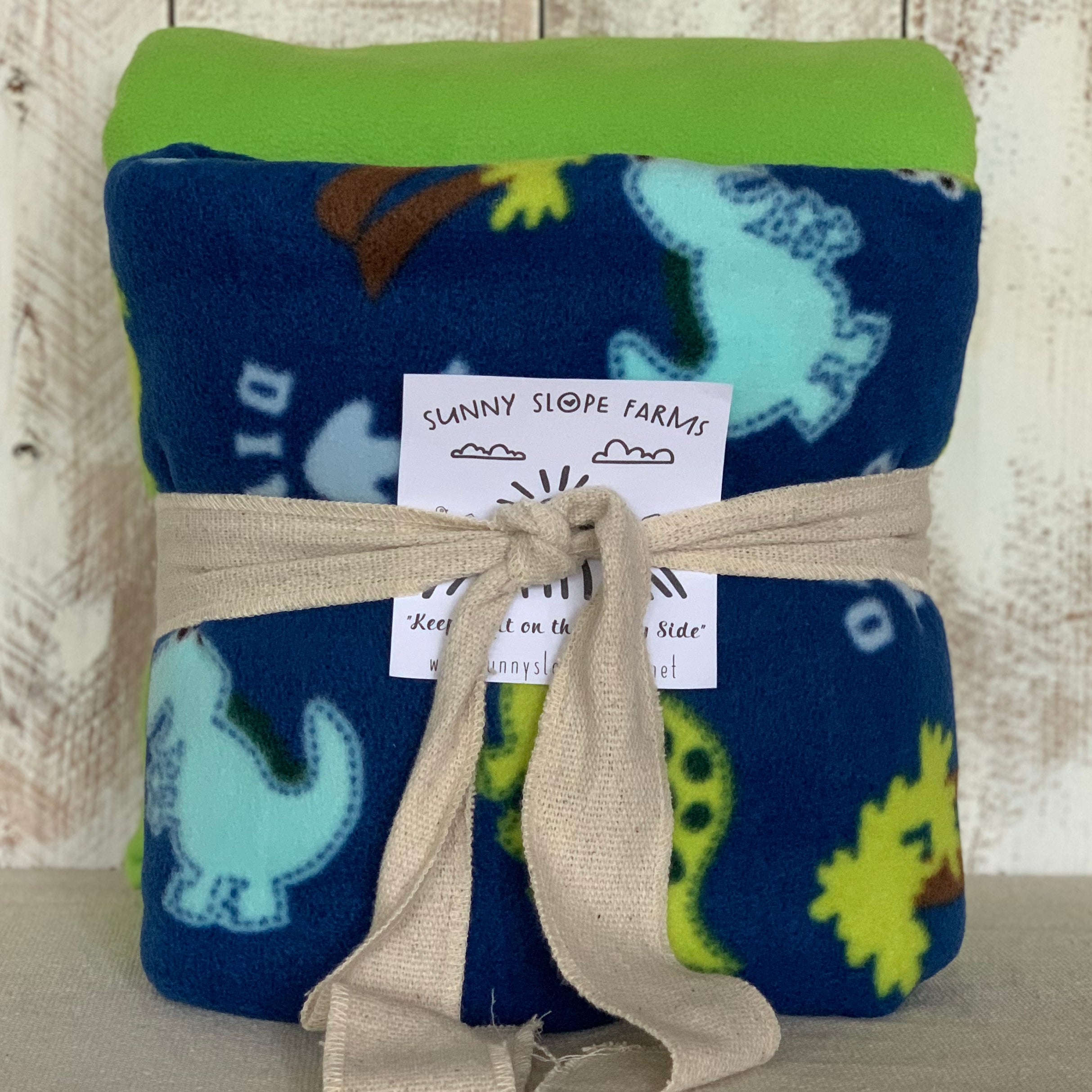No Sew Blanket Kit - Dinosaur - Personalization Available