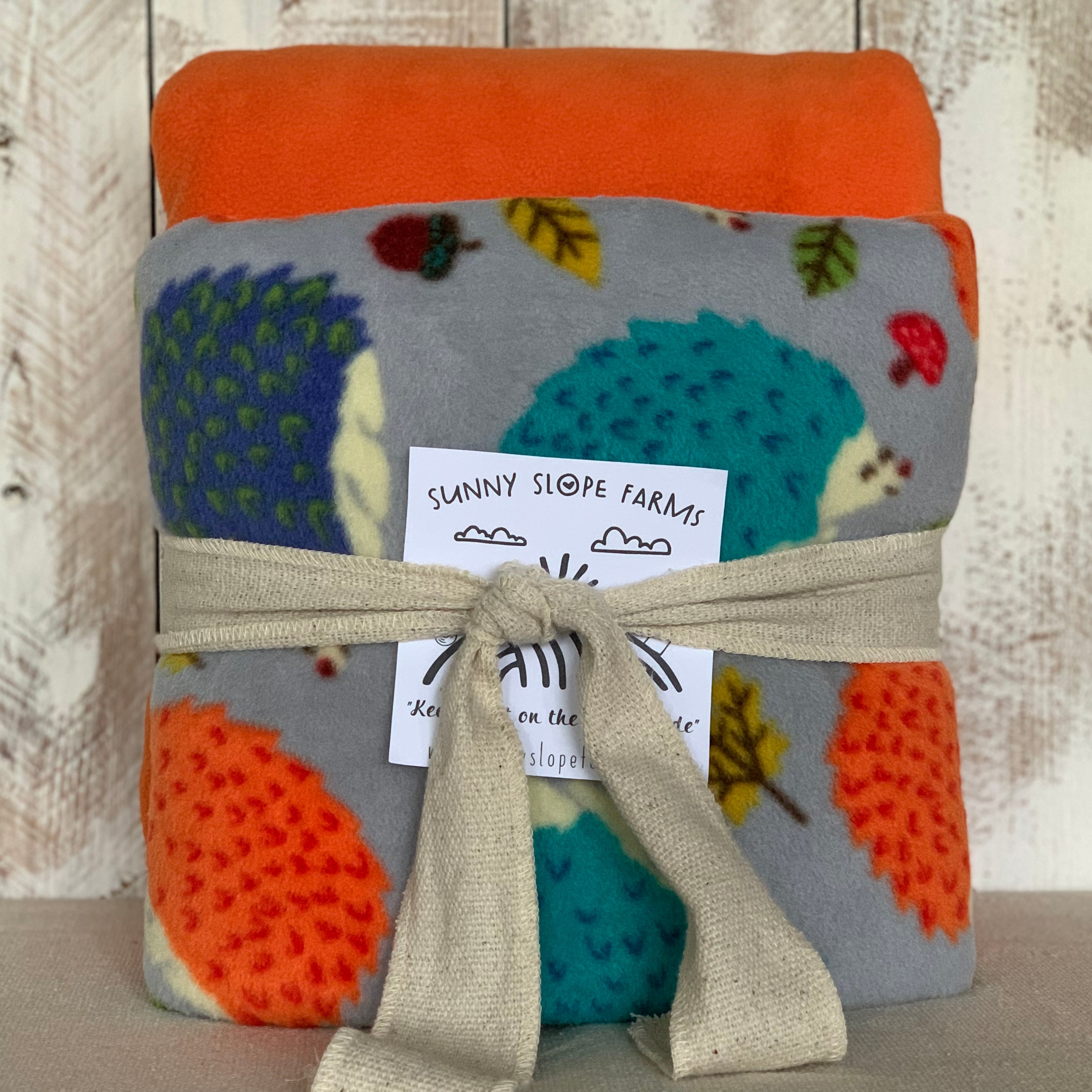 No Sew Blanket Kit - Hedgehog - Personalization Available