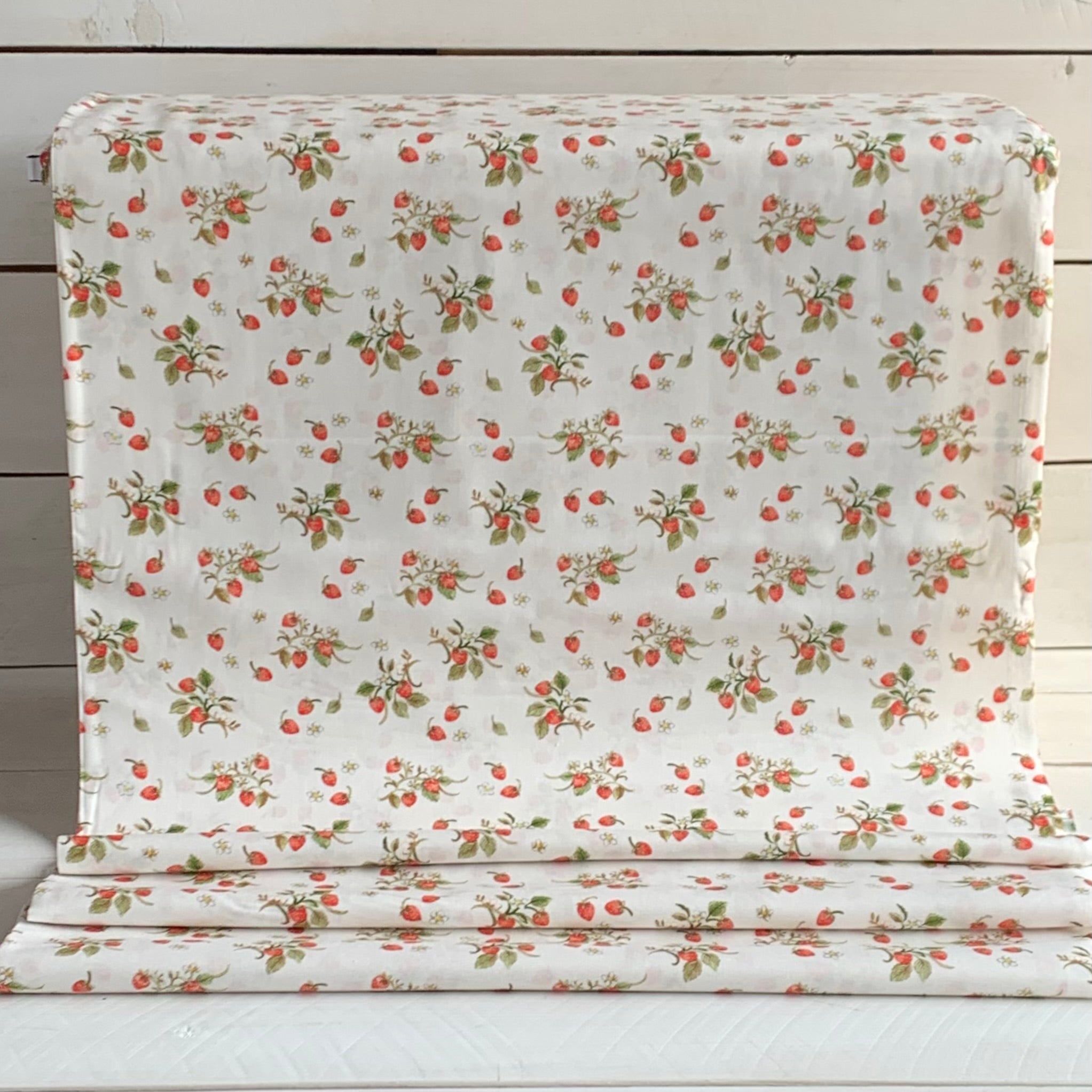 Strawberries Farm Meadow by Clare Therese Gray Windham Fabrics - Ivory 52796-1 Cotton Fabric
