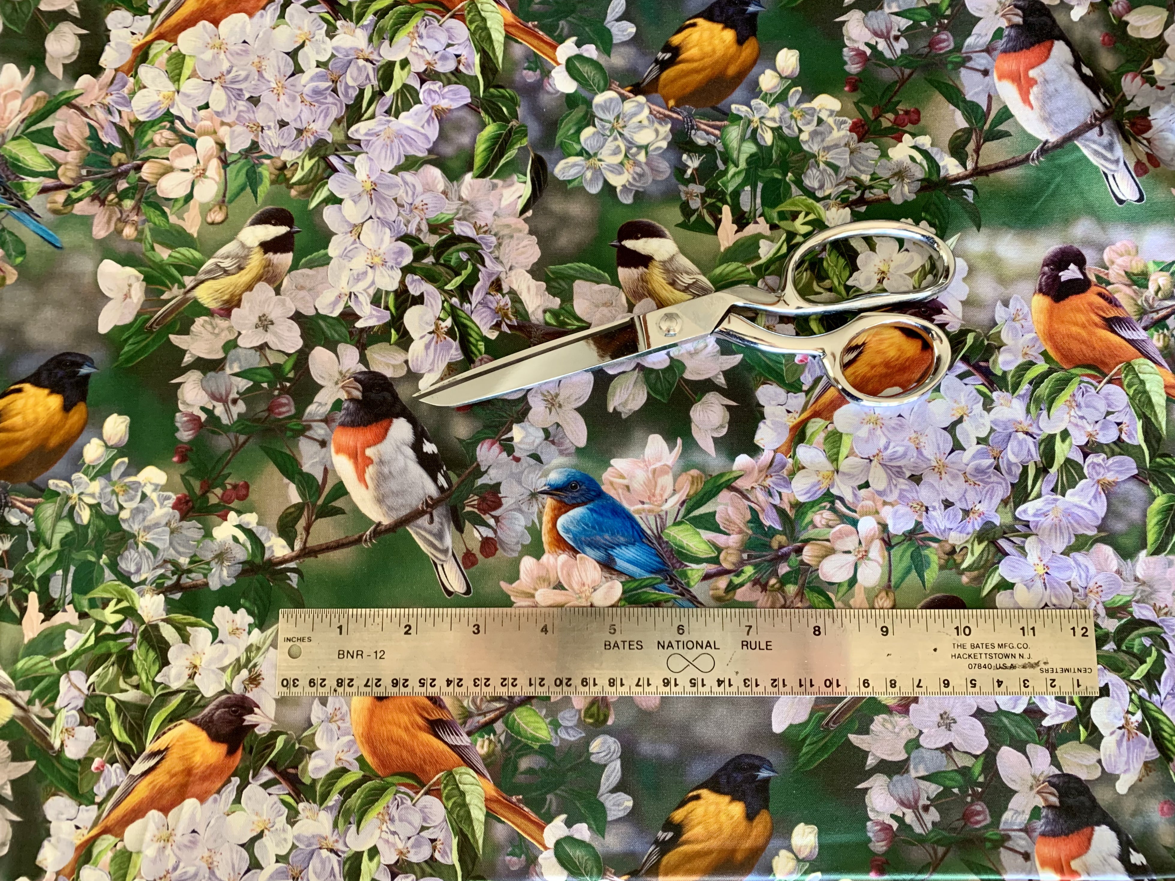 David Textiles Birds for all Seasons - Birds in the Orchard Panel and Fabric by the Yard - Fall Fabric