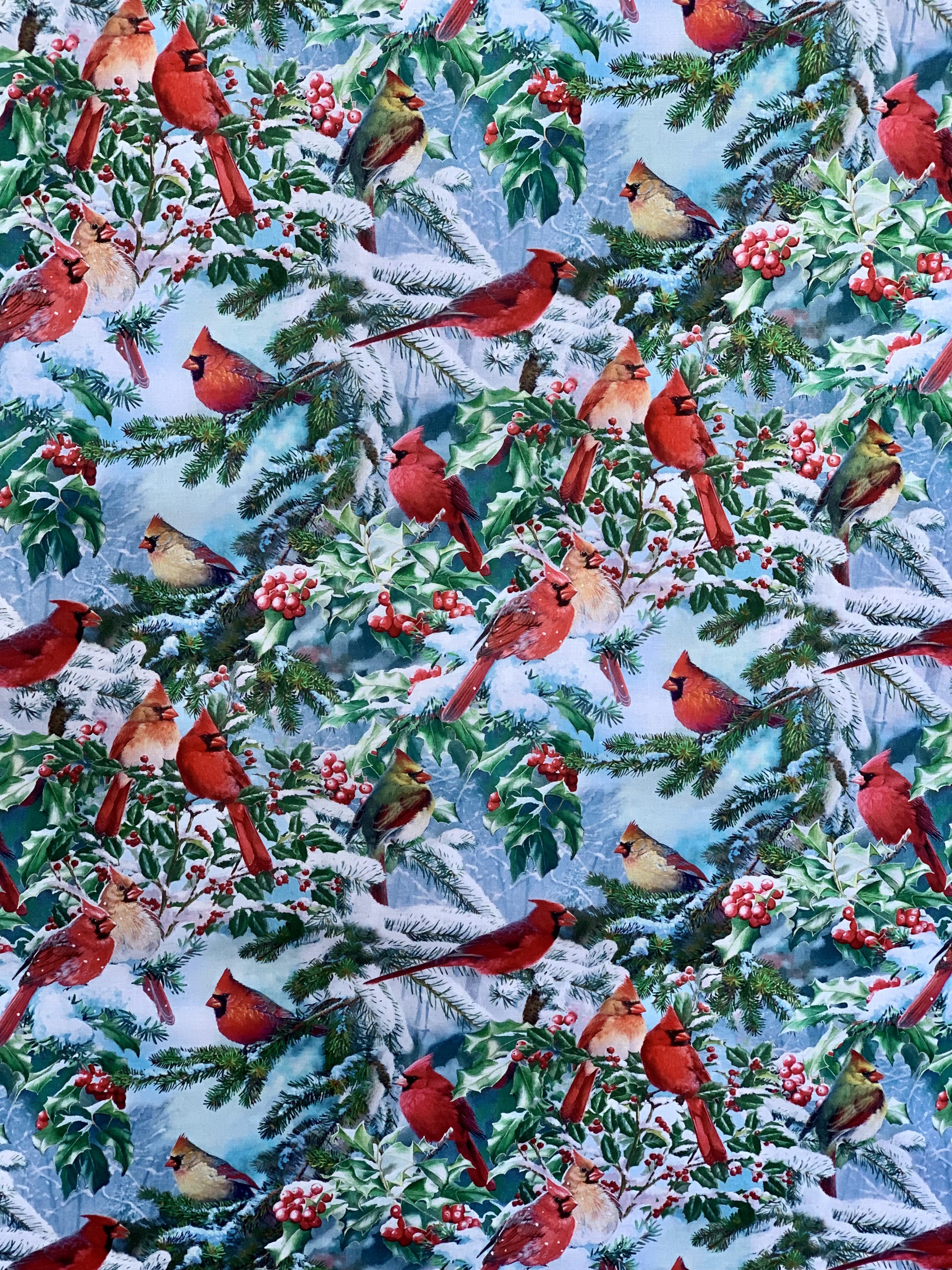 David Textiles Birds for all Seasons - Red Cardinals and Evergreens Panel and Fabric by the Yard - Christmas & Winter Fabric