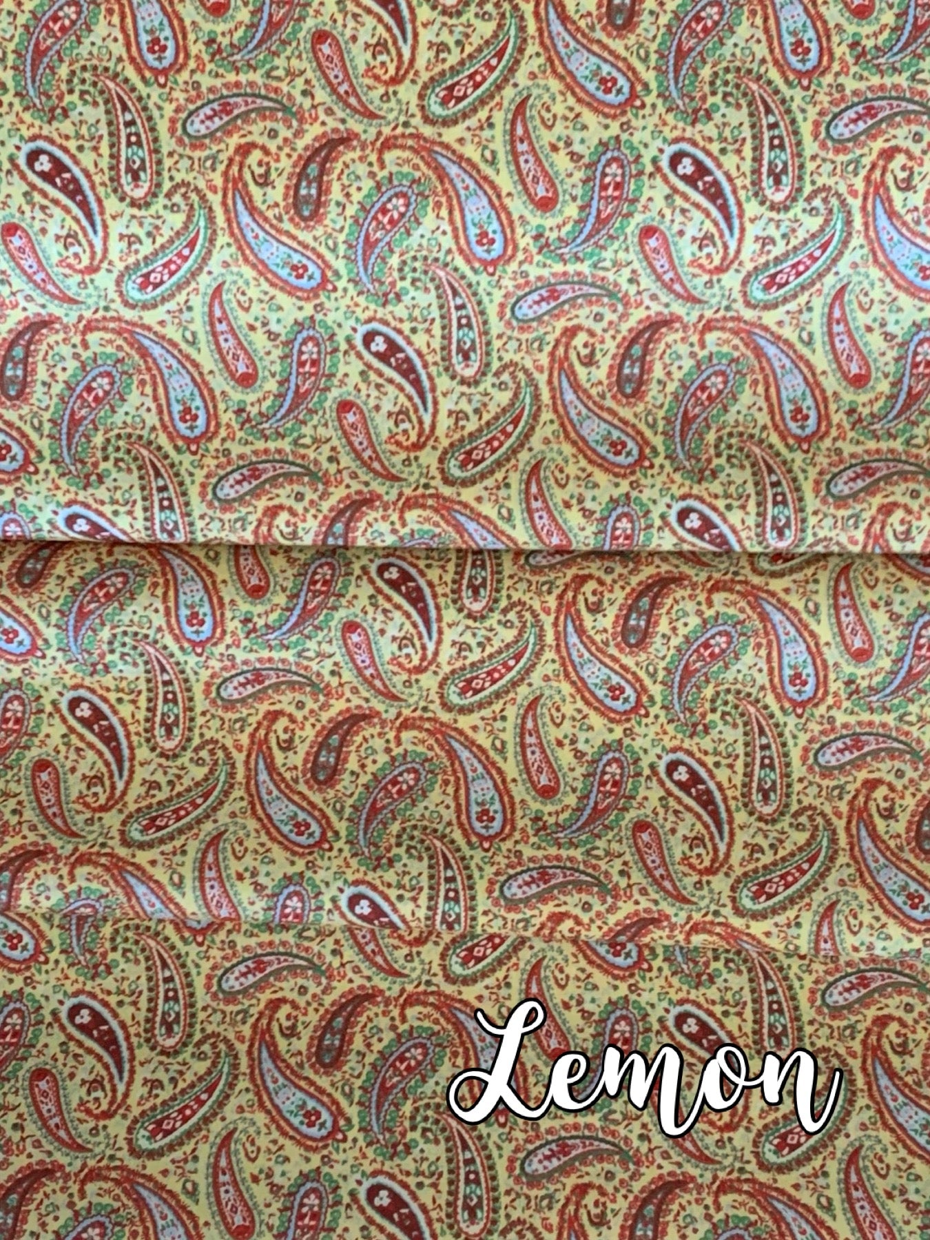 Retro Paisley Collection